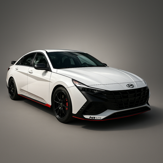 Hyundai Elantra N (2022-2023 & 2024+) / Rock Guards